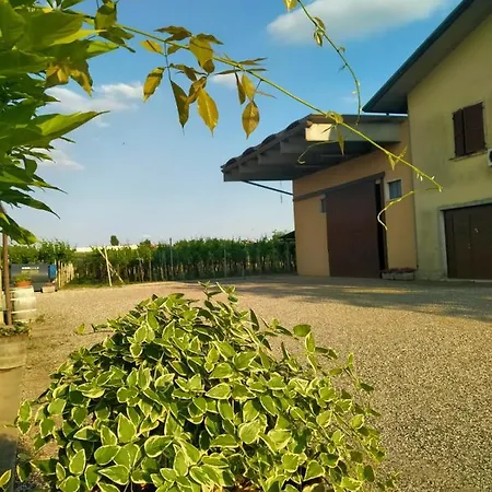 Corte Ohana Ferienhaus Monteforte dʼAlpone