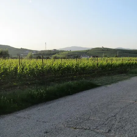 Vakantiehuis Corte Ohana Monteforte dʼAlpone